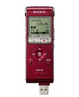 Sony ICD-UX300 (ICD-UX300R)